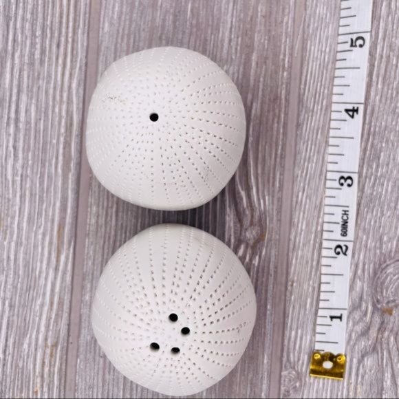 Ceramic sea urchin salt and pepper shaker set white ocean tropical - Picture 5 of 5